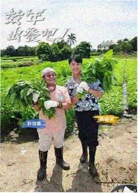 漫画免费下载专题之追更节奏